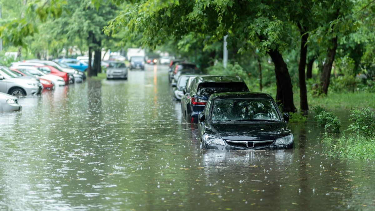 Hurricane-Helene-flood-damaged-cars