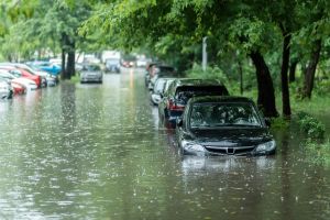 Hurricane Helene Floods 138,000 Vehicles Across 6 States